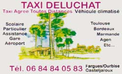 Taxi deluchat